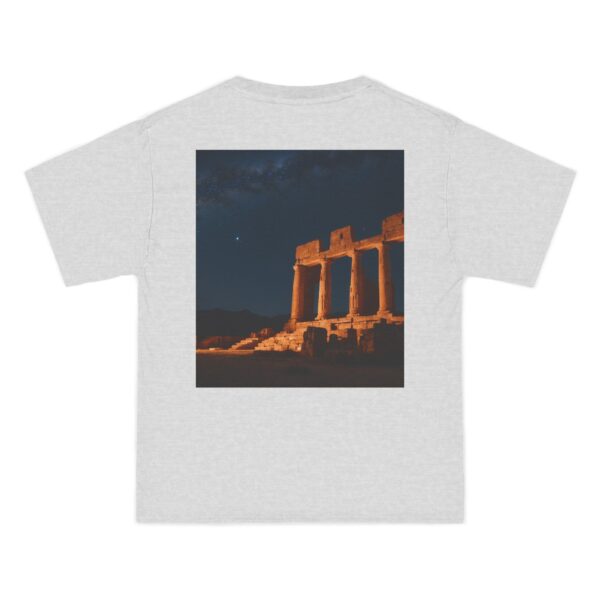 Fierce Duality T-Shirt (ash color) – back view
