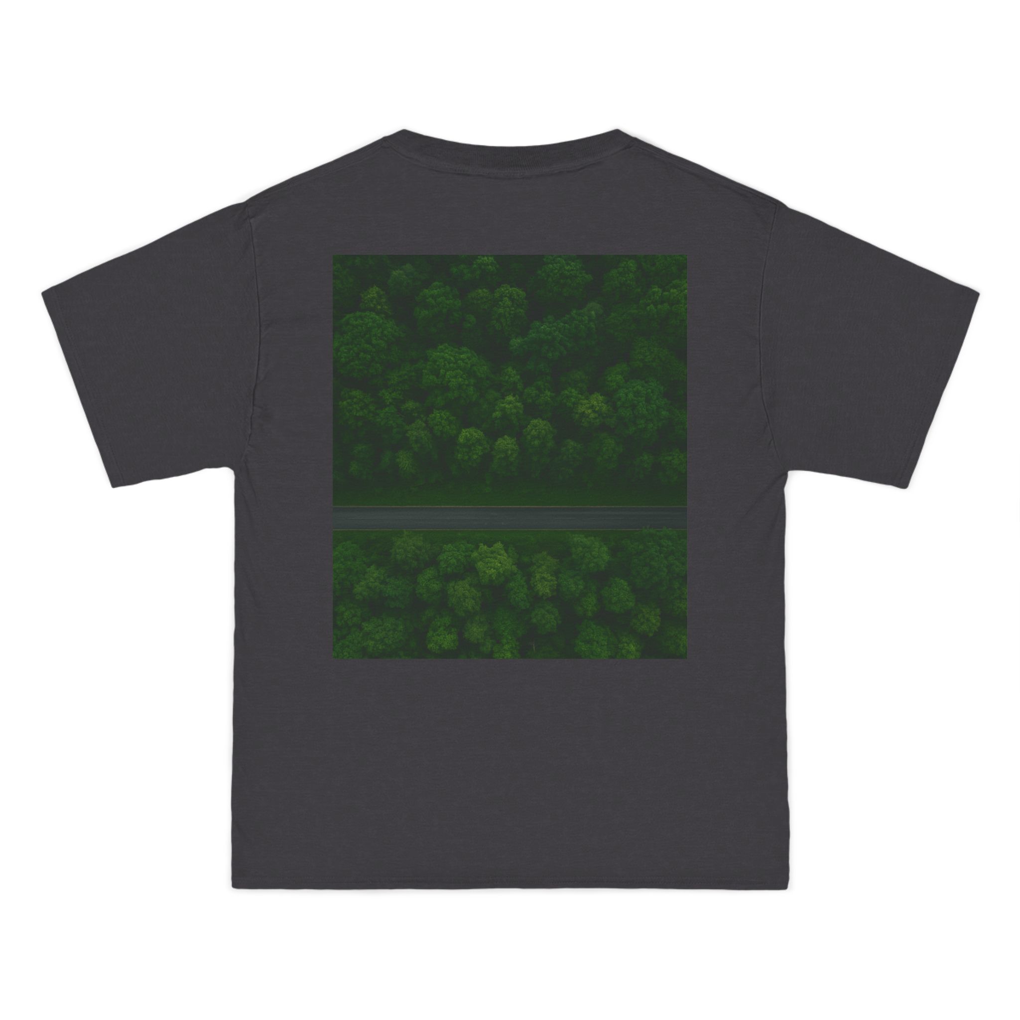 9143628822943155573_2048.jpeg Scenic Landscape Print T-shirt (charcoal heather color) – back view