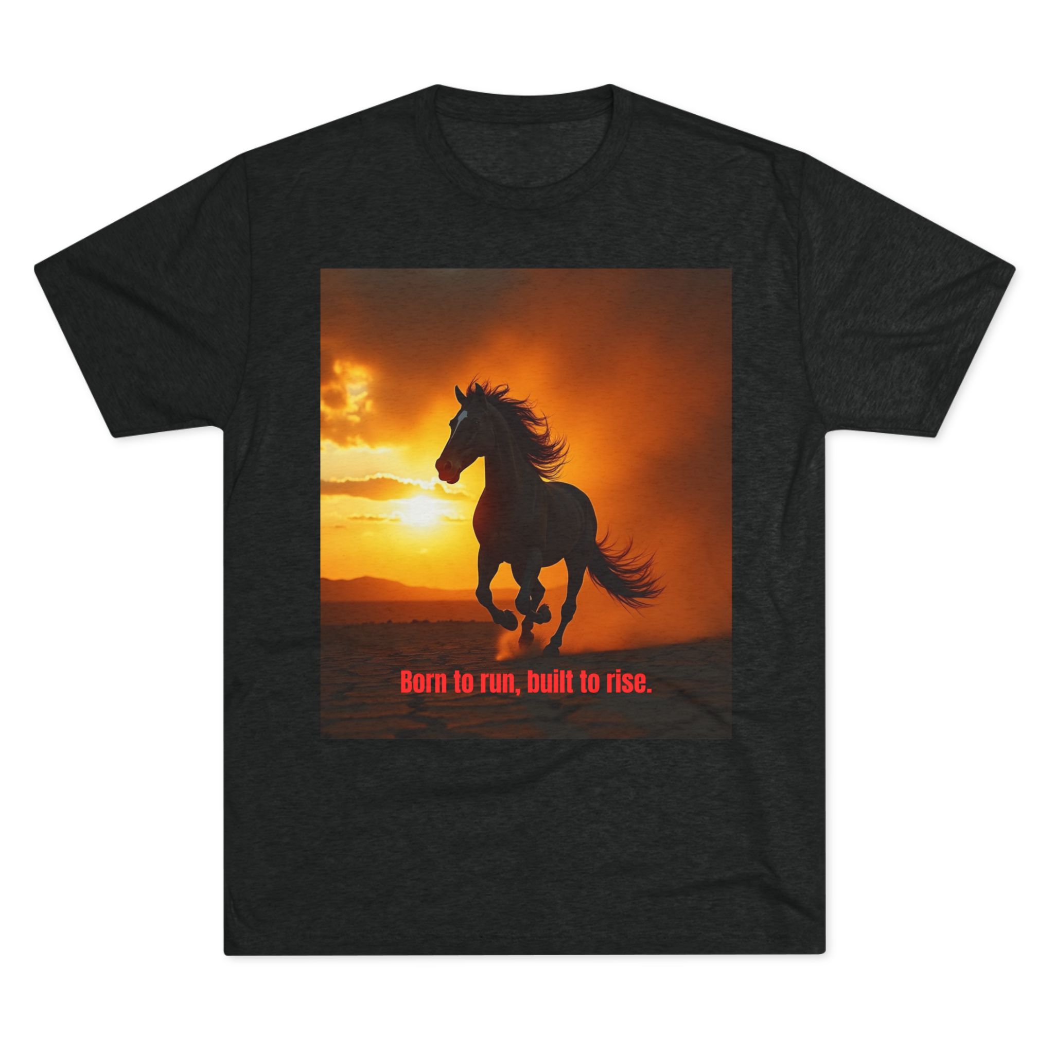 16689791457752960932_2048.jpeg Equestrian Inspiration T-shirt Tri-Blend Vintage Black- front view