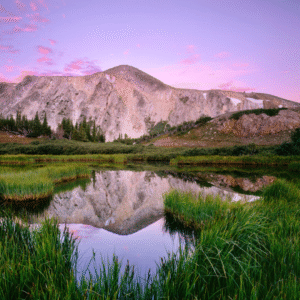 Nature & Landscape Photography